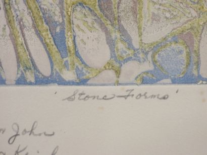 null Shirley Estelle WITEBSKY (born 1925): Stone forms. Lithography. Artist's proof....
