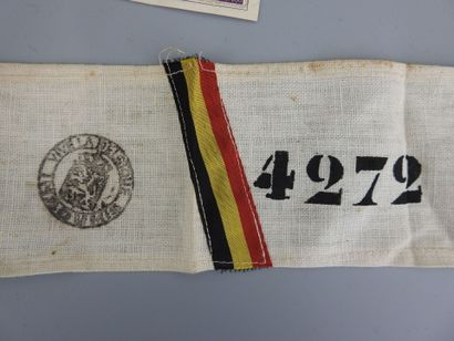 null MISCELLANEOUS. INSIGNES. Tricolor cockade, Belgian armband, small tricolor flag,...