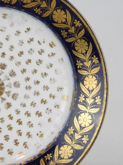 null Manufacture de SEVRES : Porcelain plate with decoration of golden semi flowers...