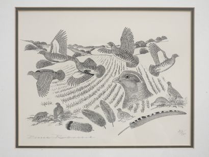 null Pierre ROUSSIA (1951) : Lithograph illustrating woodcocks. Signed and numbered...
