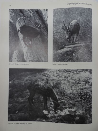null COLLECTIVE : The big book of hunting and nature. René Kister & Godefroy Schmid...