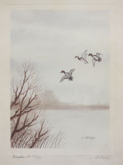 null Dany CONTINSOUZAS (1949) : Ducks. Woodcock. Two lithographs. Signed and numbered...