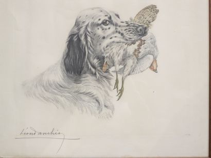 null Léon DANCHIN (1887-1938) : Setter holding a partridge. Lithograph signed and...