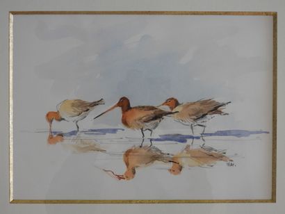 null Patrice BAC (born in 1946): the knights (birds). Watercolor. Signed lower right....