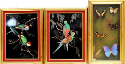 null R. MAUDUIT- XXeme

Suite de deux huiles sur panneaux représentant des perruches...