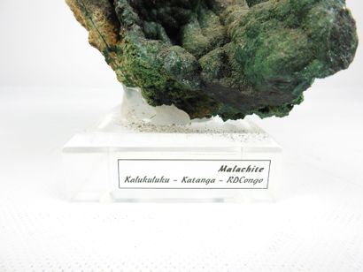 null Superbe stalactite de Malachite, KATANGA, Katanga, République Démocratique du...