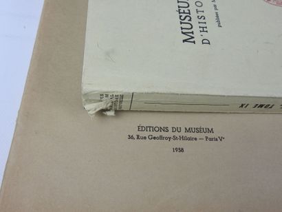 null « ARCHIVES DU MUSEE NATIONAL D'HISTOIRE NATURELLE » publiée par les professeurs...