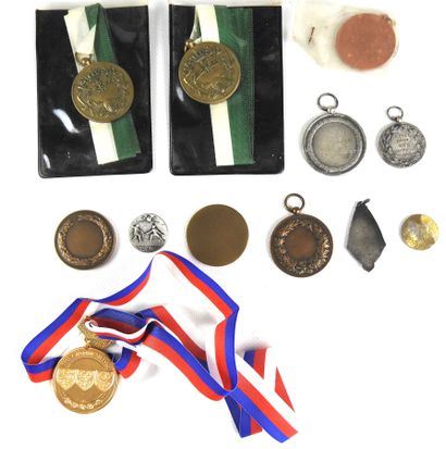 null INSIGNES. Lot of 12 medals related to fencing and competitions. Contemporary...