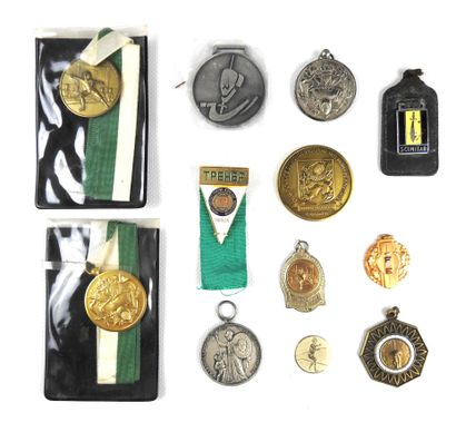 INSIGNES. Lot of 12 medals related to fencing...