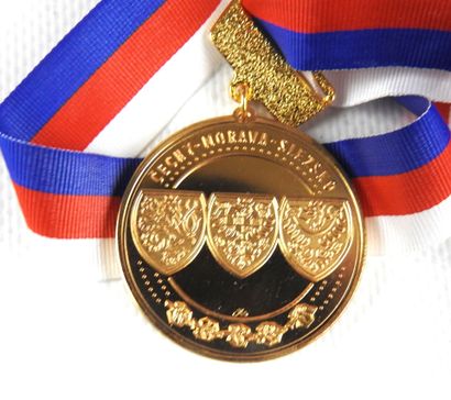 null INSIGNES. Lot of 12 medals related to fencing and competitions. Contemporary...
