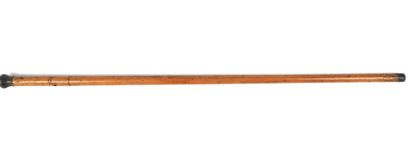 null CANE-DAGUE. Model with double-bladed hardwood shaft, spherical horn pommel,...