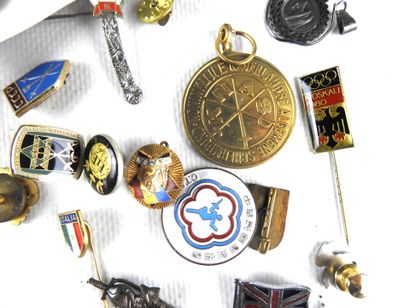 null INSIGNES. Lot of about 25 badges, pins, tie-pins related to fencing. BE