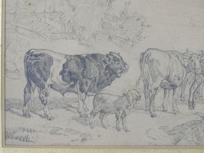 null School of the XXth century: Cows and sheep. Graphite drawing signed SERVAIS...