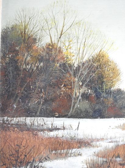 null Albert DRACHKOVITCH-THOMAS (born in 1928): Pond under the snow. Oil on isorel...