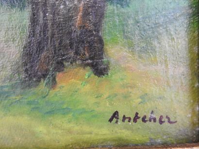 null Isaac ANTCHER (1899-1992): Sous bois. Huile sur toile signée en bas à droite....