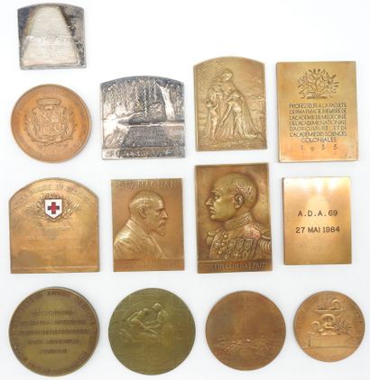 null STRONG LOT of badges and commemorative plaques related to the Red Cross, medicine...