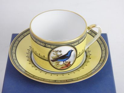 null Former Royal Manufacture of Limoges: Cup and its saucer in porcelain model "Jardin...