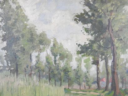 null Eugène MAHAUX (peintre belge, 1874-1946) : Chemin en forêt. Huile sur panneau,...