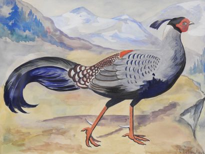 null REBOUTEAU - XXth century

Prelate pheasant.

Watercolor and gouache. Signed...