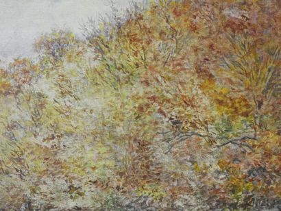 null François-Marie FIRMIN-GIRARD (1838-1921)

Moulin dans la forêt

Huile sur panneau....