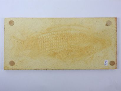 null Roger CAPRON (1922-2006): Rectangular ceramic plate decorated with a fish profile....
