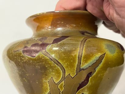 null 
Amédée de CARANZA (1840-1912): Vase en verre irisé à décor d'iris. Signé dans...