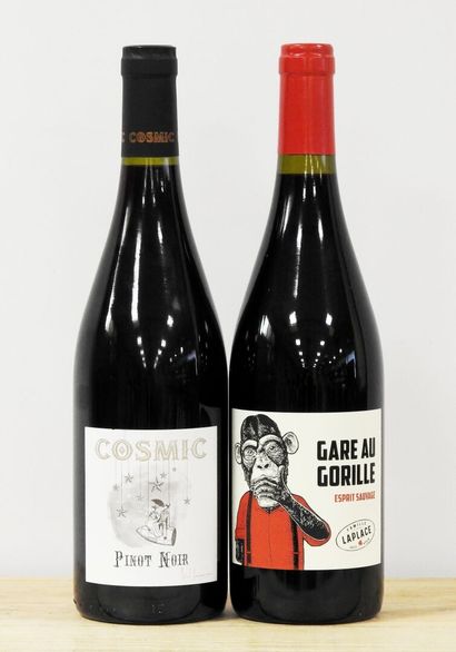 null 2 bouteilles
Cosmic - Pinot noir - Paul Aegerter - 2021.
Gare au gorille - Famille...
