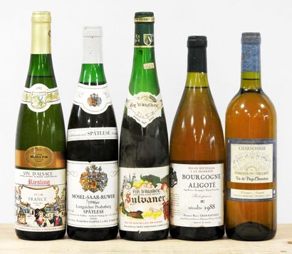 null Tour de France des vins blancs - 5 bouteilles
Domaine Henri Gros-Faiveley -...