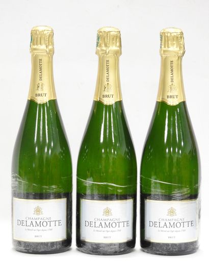null 3 bottles Champagne Brut Blanc Delamotte.