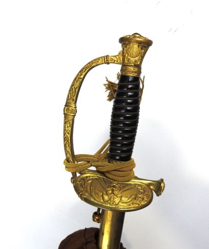 null FRANCE. Sword with chiseling of naval officer, gilded brass frame, synthetic...