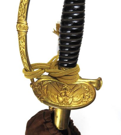 null FRANCE. Sword with chiseling of naval officer, gilded brass frame, synthetic...