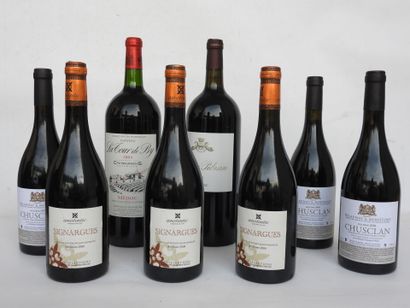 null 9 bouteilles et magnum Sinargues oenotentic 2008, Chusclan Delaunay et Montfort...