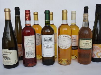 null 13 bouteilles Château Raymond-Lafon Sauternes, Château Haut Bernadon, Domaine...