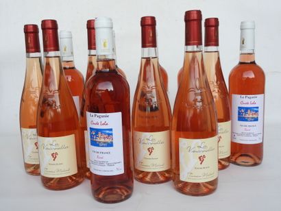 null 12 bouteilles rosé Les Vaucorneilles Tendre Suzon Touraine Mesland, La Paganie...