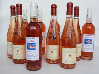 null 12 bouteilles rosé Les Vaucorneilles Tendre Suzon Touraine Mesland, La Paganie...