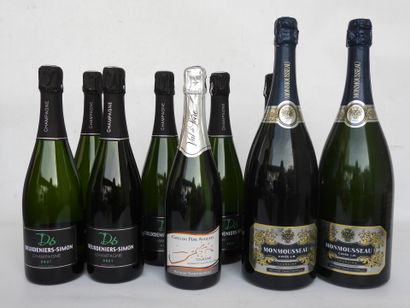 9 bouteilles et magnum dont Champagne Deuxdeniers...