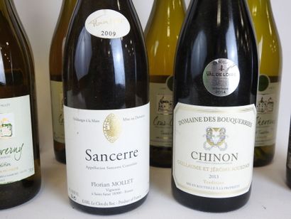 null 12 bouteilles de vin divers Orléans Cléry Saint Avit 2015, Sancerre Florian...