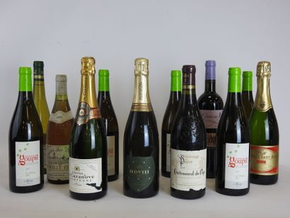13 bouteilles de vin divers Aubaines de goupil...