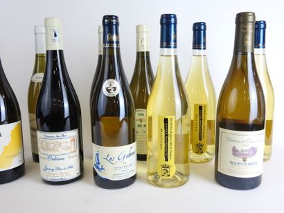 null 12 bouteilles de vin divers Sainte Marguerite Moelleux, chablis Grand cru Bougros...