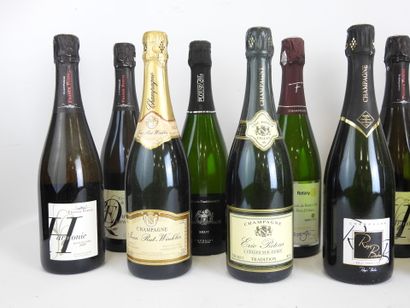 null 12 bouteilles champagne et vin mousseux ou pétillant dont Champagne Régis Barbe,...