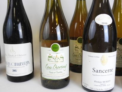 null 12 bouteilles de vin divers Orléans Cléry Saint Avit 2015, Sancerre Florian...
