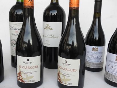 null 9 bouteilles et magnum Sinargues oenotentic 2008, Chusclan Delaunay et Montfort...