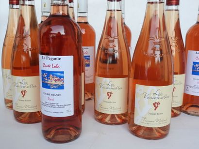null 12 bouteilles rosé Les Vaucorneilles Tendre Suzon Touraine Mesland, La Paganie...
