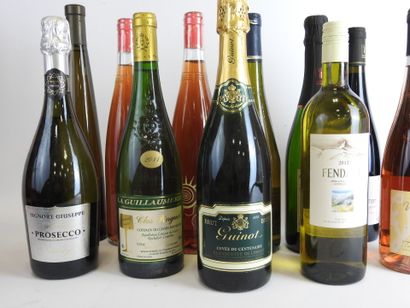 null 12 bouteilles vins divers dont pétillant, Prosecco, rosé demi sec, Guinot, Domaine...