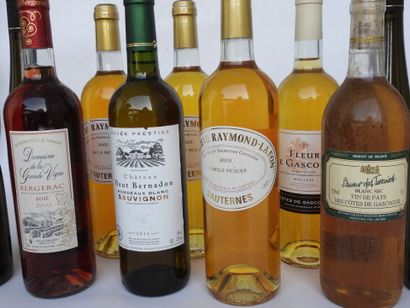 null 13 bouteilles Château Raymond-Lafon Sauternes, Château Haut Bernadon, Domaine...