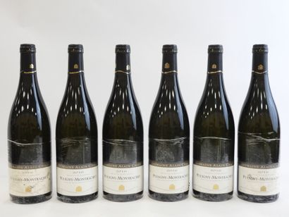 null 6 bouteilles Puligny Montrachet A. Chavy 2016.
