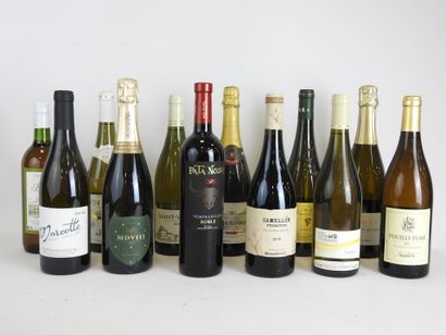null 12 bouteilles de vin divers dont Pata Negra Toro Tempranillo Roble, Saint Véran...