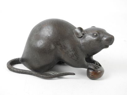 null JAPAN - MEIJI period (1868-1912) : Rat holding a hazelnut in patinated bronze....