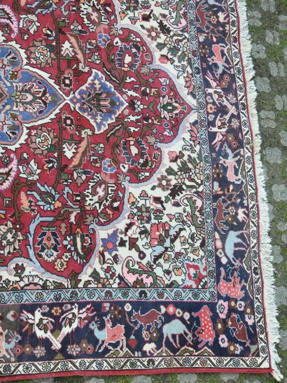 null IRAN : Tapis en laine Bakthiar à motifs stylisés sur fond rouge. 208 x 300 cm....