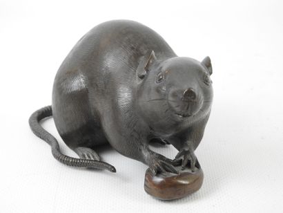 null JAPON - Epoque MEIJI (1868-1912) : Rat tenant une noisette en bronze patiné....